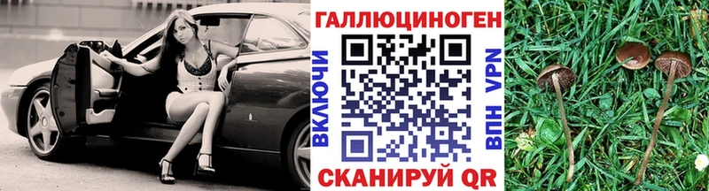 цены   Красноармейск  Псилоцибиновые грибы GOLDEN TEACHER 